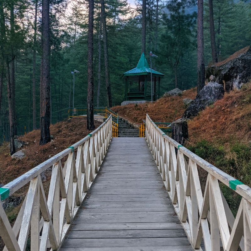 images/insta/Uttarakhand Tour Package 7 Nights 8 Days 5.jpg